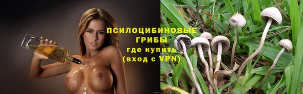 спиды Алексеевка