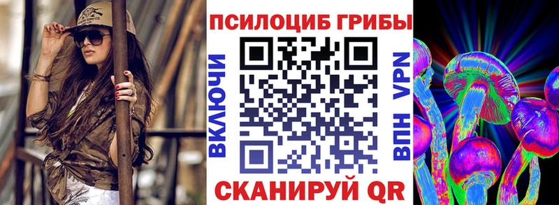 магазин продажи   Заводоуковск  маркетплейс состав  Галлюциногенные грибы Psilocybine cubensis 