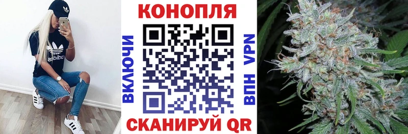 Шишки марихуана конопля  Заводоуковск 